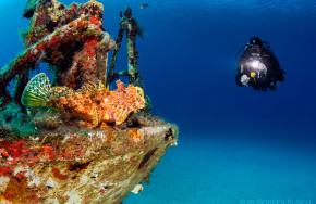 Extra Divers Malta