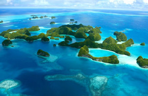 Neco Marine Palau